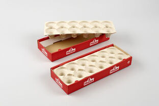 Tubentray mit Kartonbox. Lebensmittelindustrie