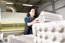 Verpackungen aus Faserguss Faserformteilen aus Recyclingmaterial